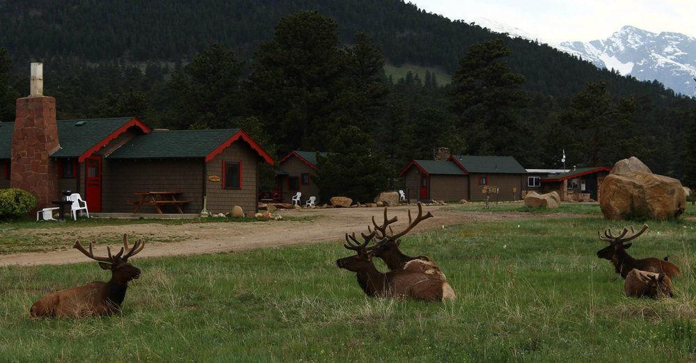 Tiny Town Cabins เอสเทสพาร์ค ภายนอก รูปภาพ