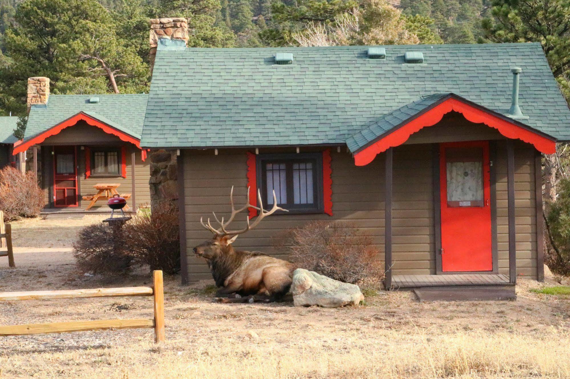 Tiny Town Cabins เอสเทสพาร์ค ภายนอก รูปภาพ